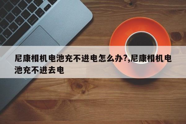 尼康相机电池充不进电怎么办?,尼康相机电池充不进去电