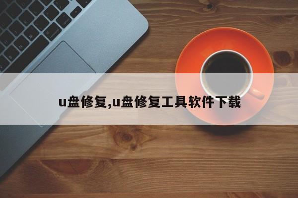 u盘修复,u盘修复工具软件下载